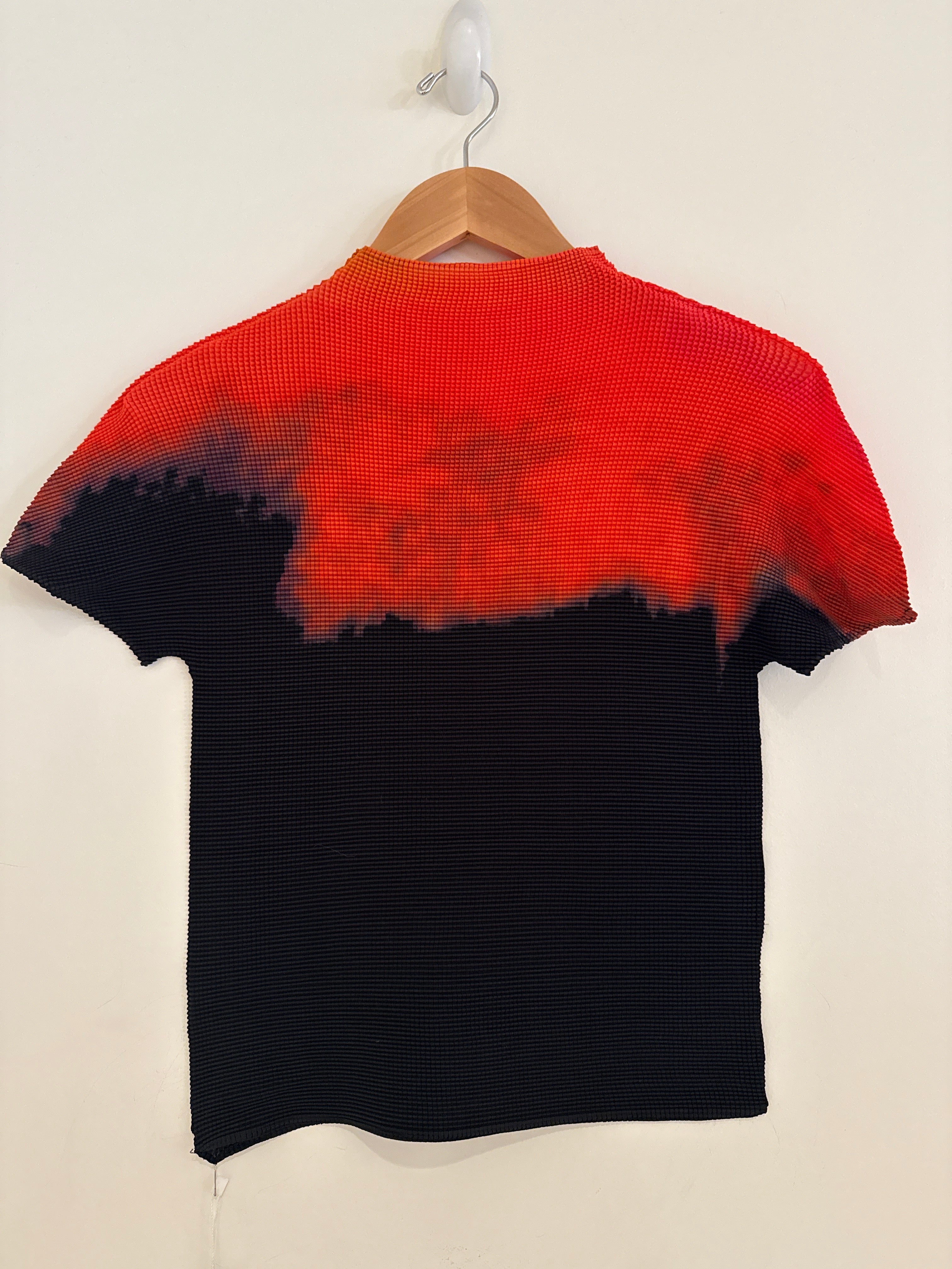 Wild Cosmos Scarlett Ombre Top One Size