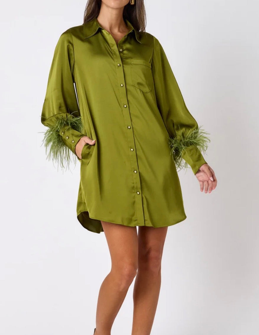 Crosby Button Front Crawford Dress
