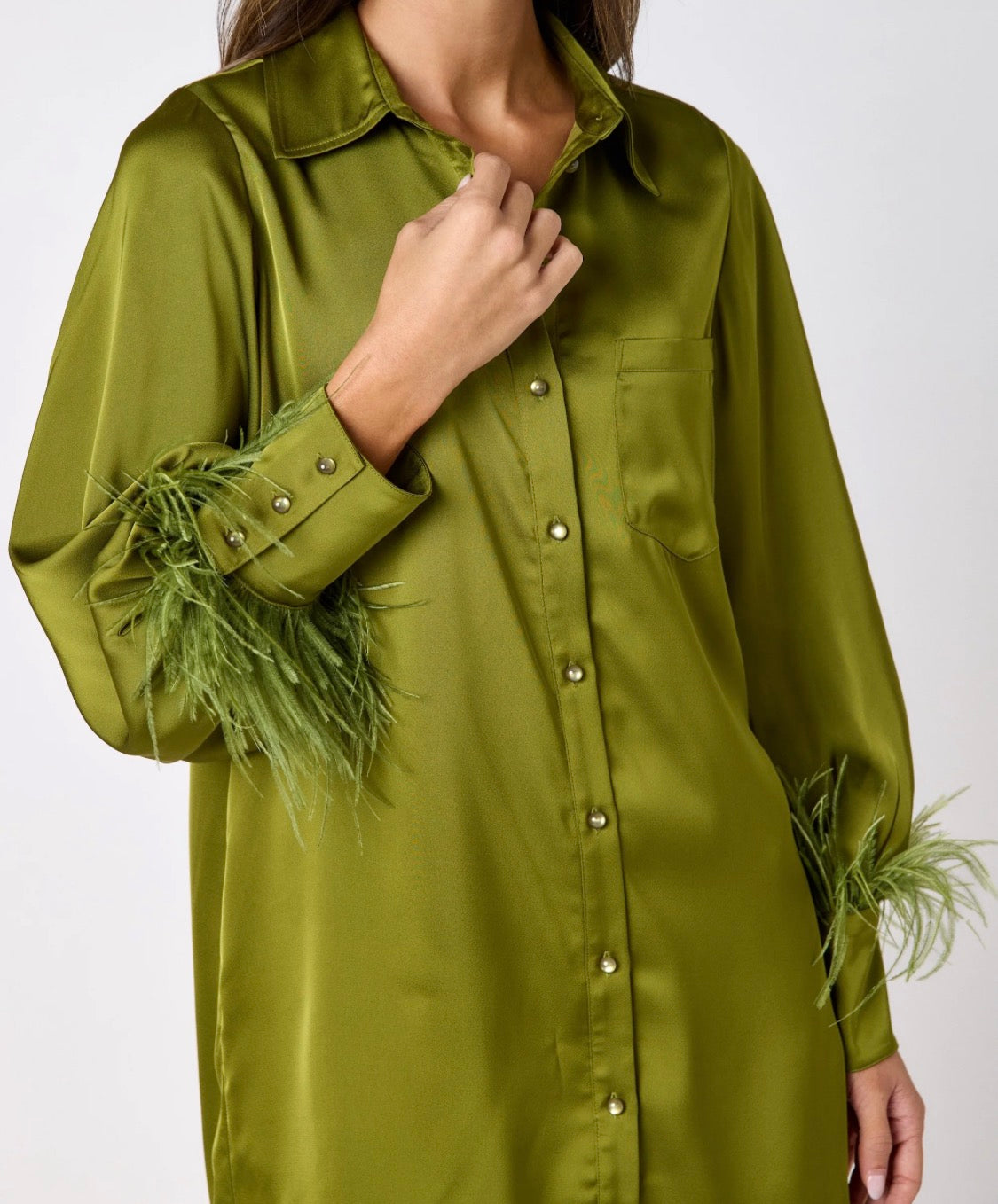Crosby Button Front Crawford Dress